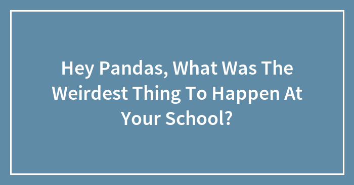Hey Pandas, What Was The Weirdest Thing To Happen At Your School?