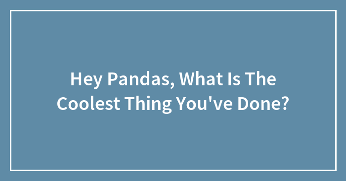 Hey Pandas, What Is The Coolest Thing You’ve Done? (Closed)