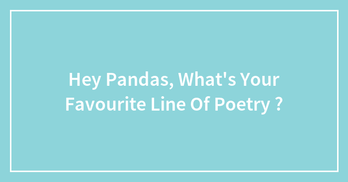 Hey Pandas, What’s Your Favourite Line Of Poetry ?