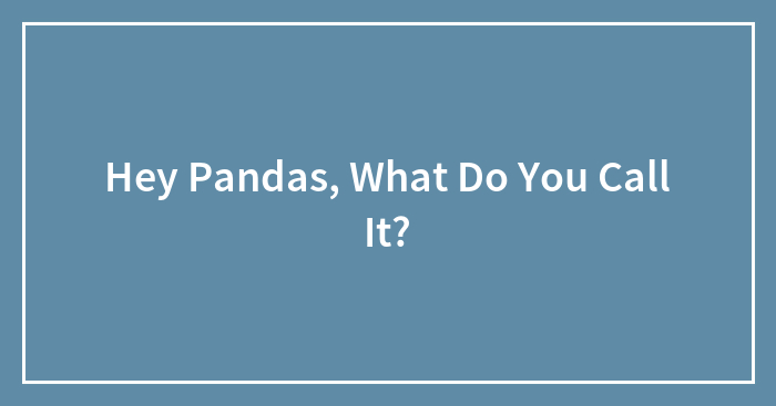 Hey Pandas, What Do You Call It?