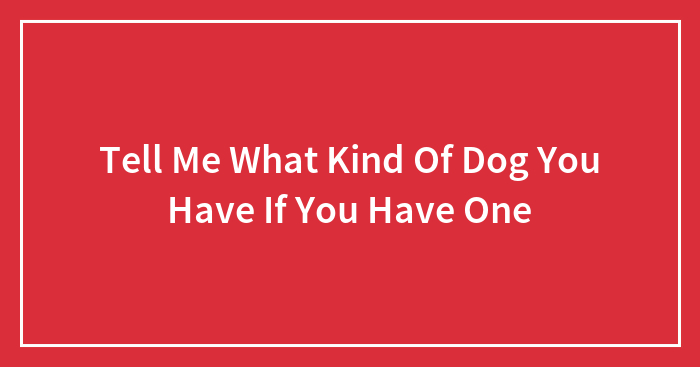 Tell Me What Kind Of Dog You Have If You Have One