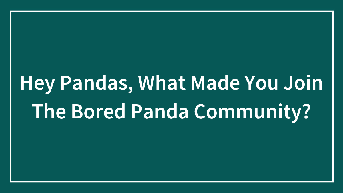 Hey Pandas, What Made You Join The Bored Panda Community? (Closed)