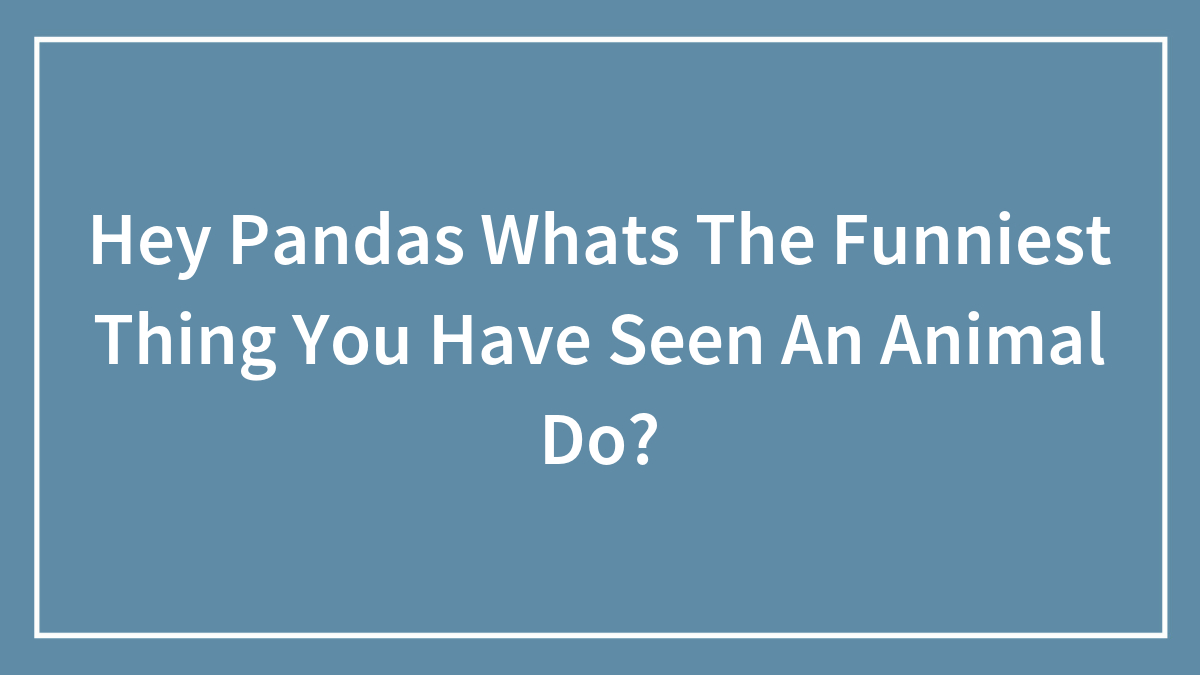 Hey Pandas Whats The Funniest Thing You Have Seen An Animal Do?