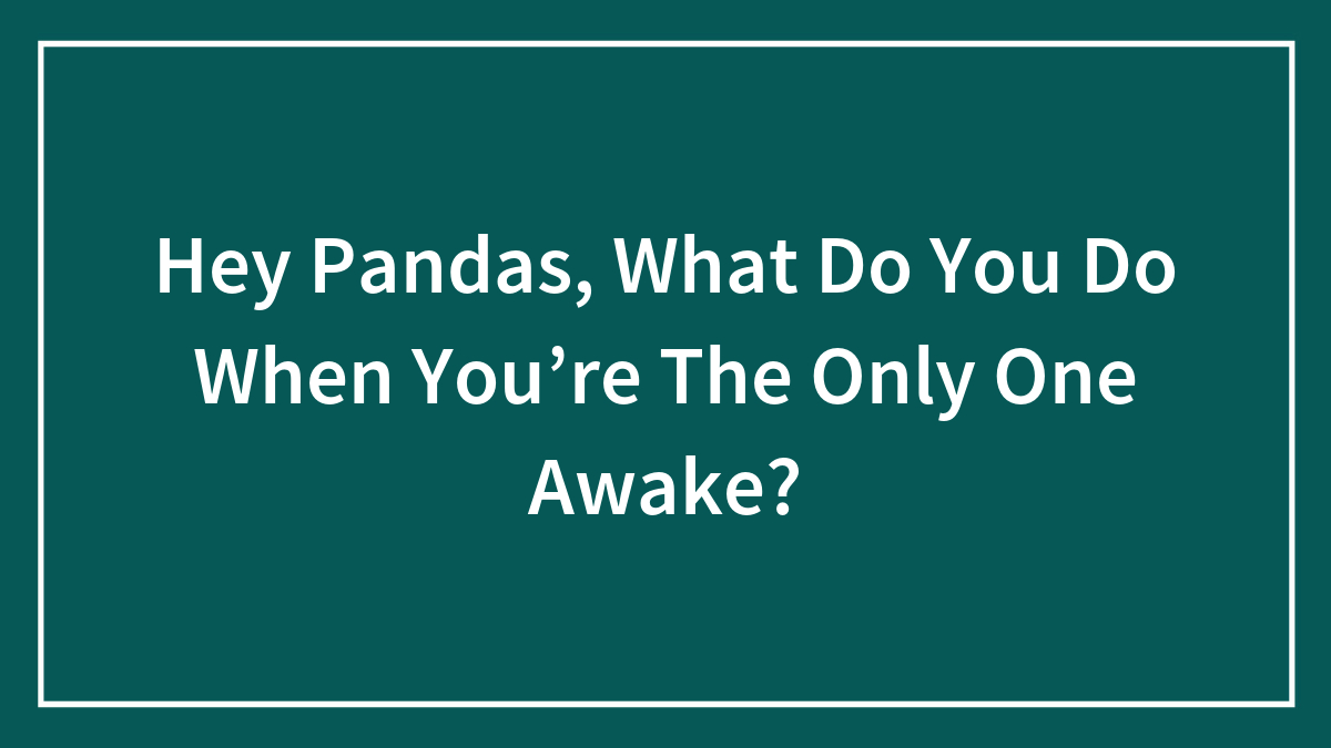 Hey Pandas, What Do You Do When You’re The Only One Awake? (Closed)