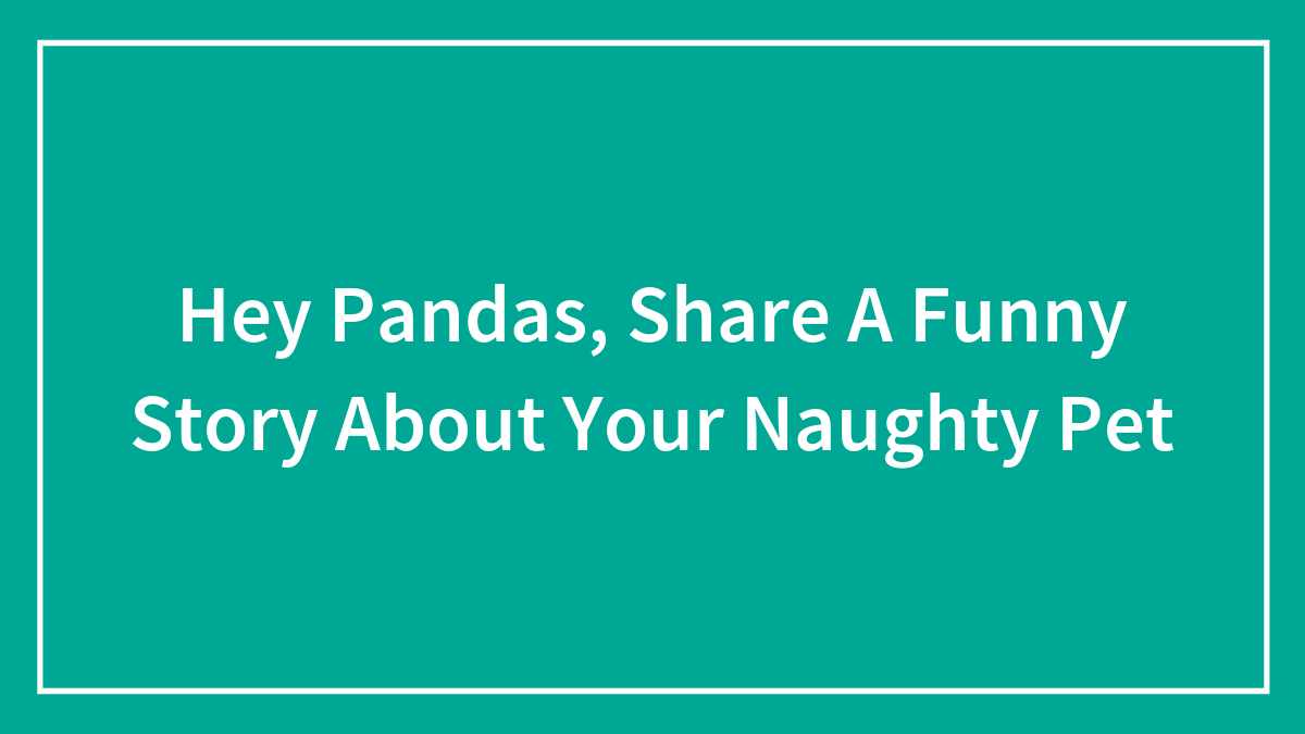 Hey Pandas, Share A Funny Story About Your Naughty Pet