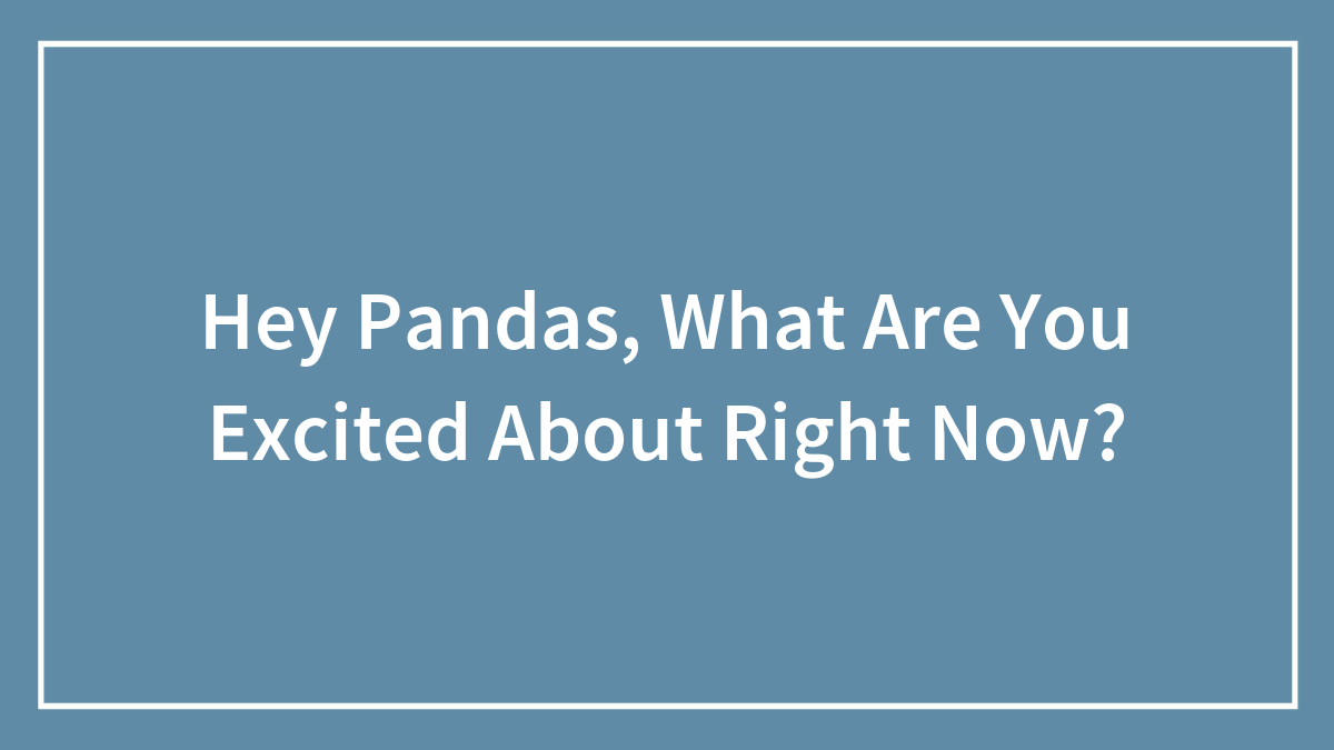 Hey Pandas, What Are You Excited About Right Now? (Closed)