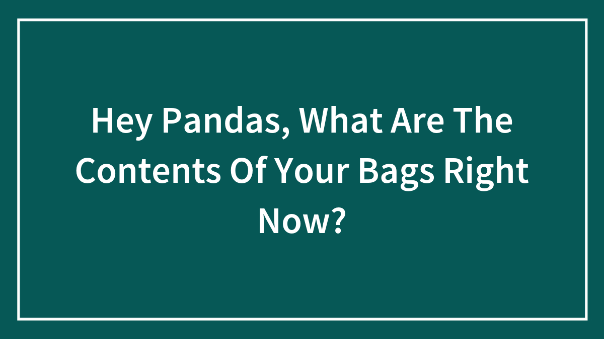 Hey Pandas, What Are The Contents Of Your Bags Right Now? (Closed)