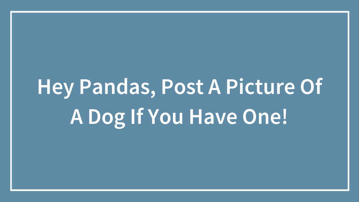 Hey Pandas, Post A Picture Of A Dog If You Have One!