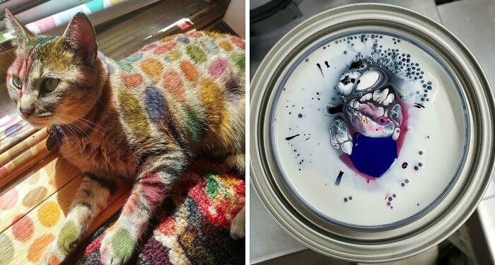 129 Times People Found Unexpected Art In The Most Random Things