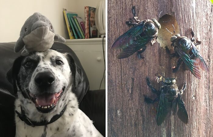 Hey Pandas, What’s Your Favorite Image In Your Gallery? (Closed)