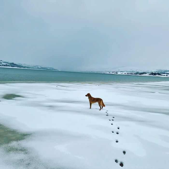 Hey Pandas, Show Us The Weather In Your Country Right Now (Closed)