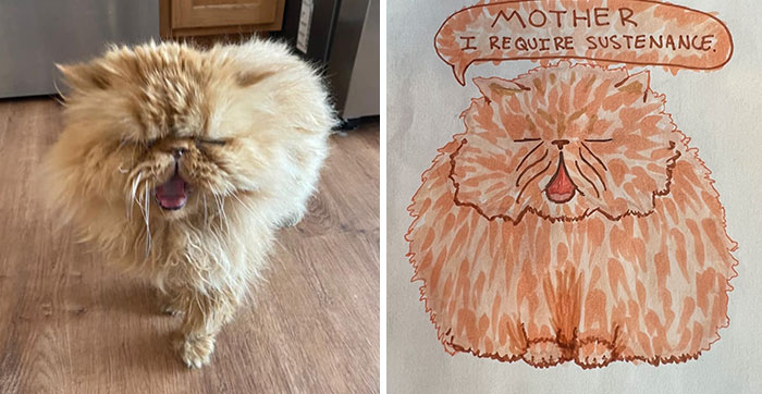 31 Hilarious Drawings Of People’s Pets Made By The Staff And Volunteers Of This Animal Shelter