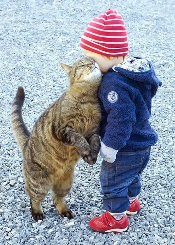 This Cat And The Child