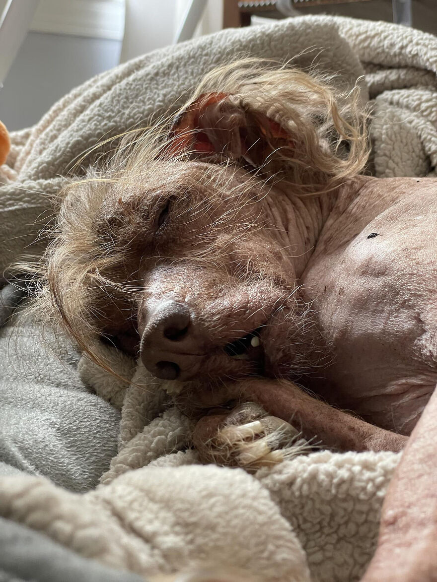 Mostly Sleepy And And Often Cold