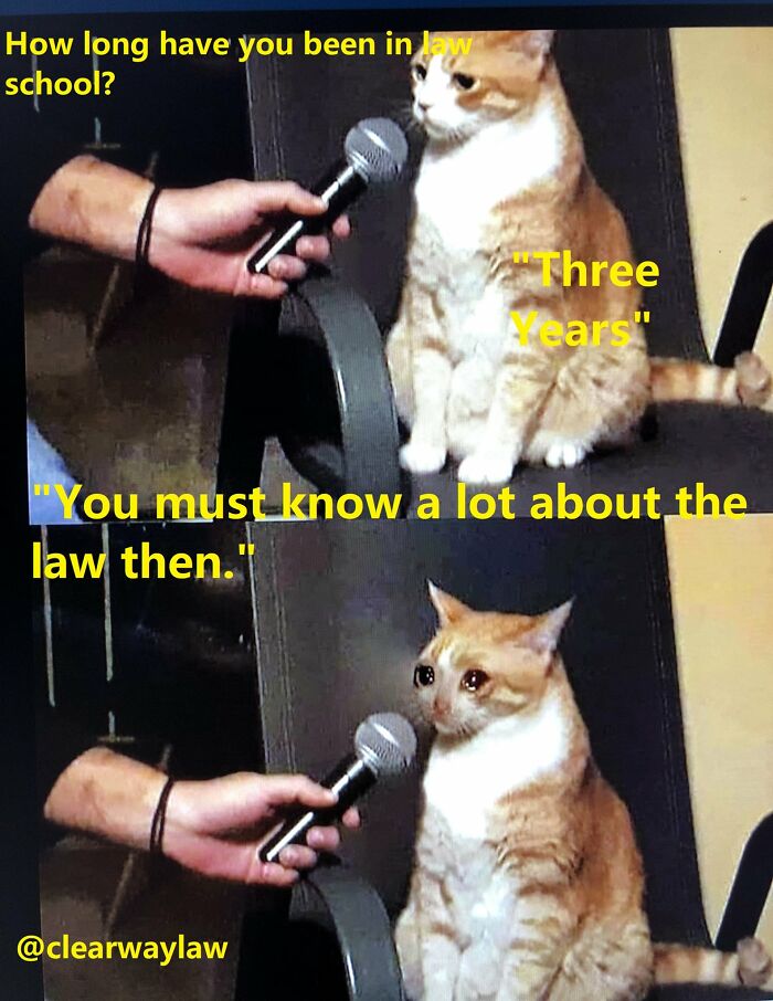 Dank-Law-Memes