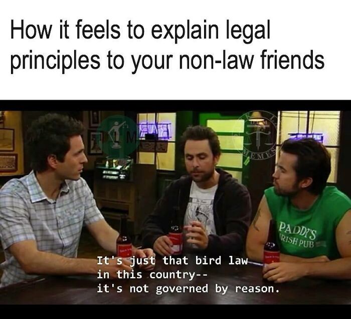 Dank-Law-Memes