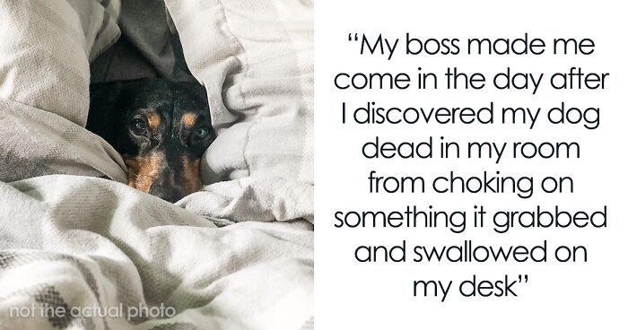 “It’s Just A Dog”: Employee’s Dog Dies, His Boss Makes Him Show Up For Work, So He Maliciously Complies