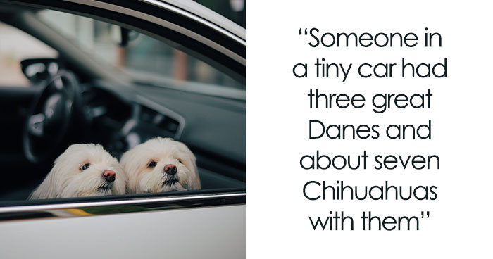 57 Funny, Strange, Creepy, And Otherwise Memorable Drive-Thru Stories Shared By People In This Online Community