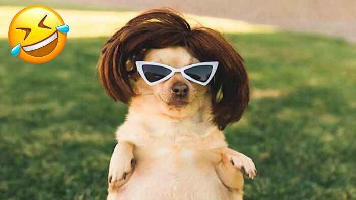 25 Images That I Found Clearing My Drive