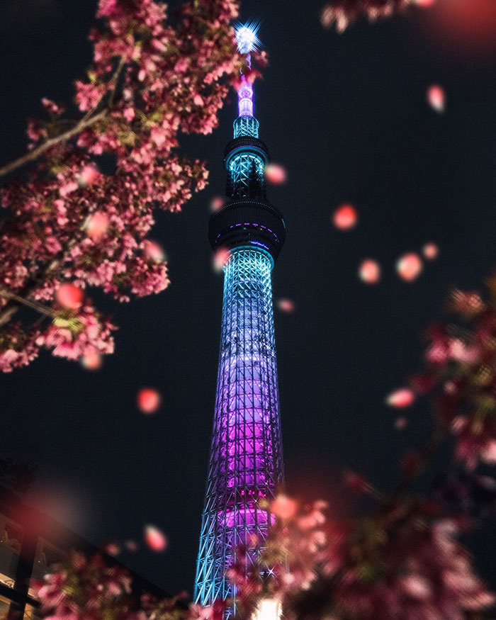 The World’s Tallest Free-Standing Tower Is The Tokyo Sky Tree