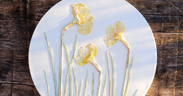 Plants Preserved In The Mineral As Fossils (4 Pics)