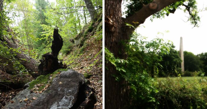 I Went For A Walk In Nature And Took Pictures There (31 Pics)