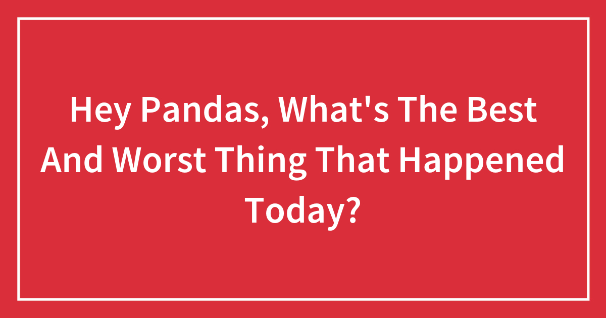 Hey Pandas, What’s The Best And Worst Thing That Happened Today