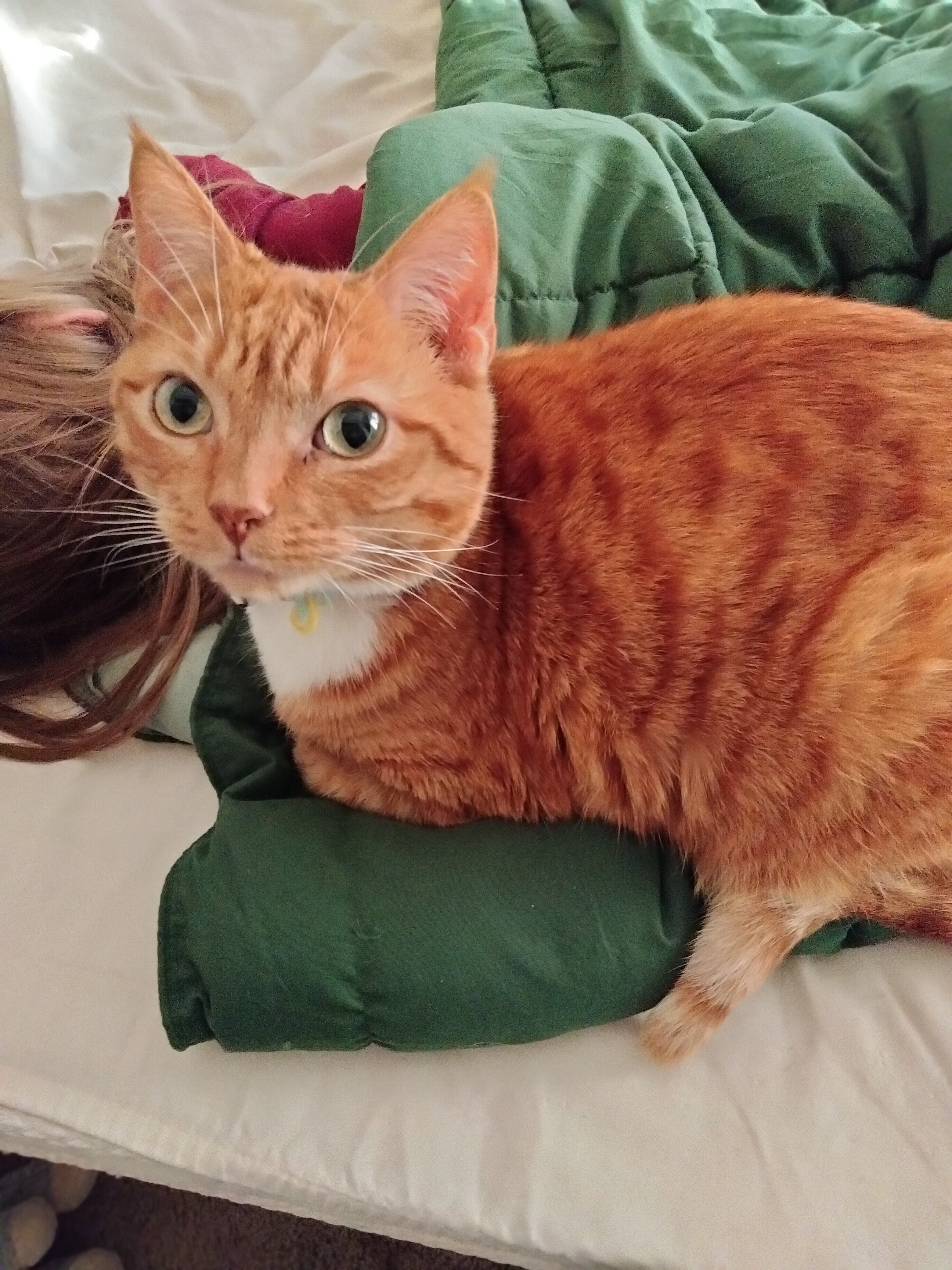 Show Off Your Pets At Their Funniest/Finest Moments!