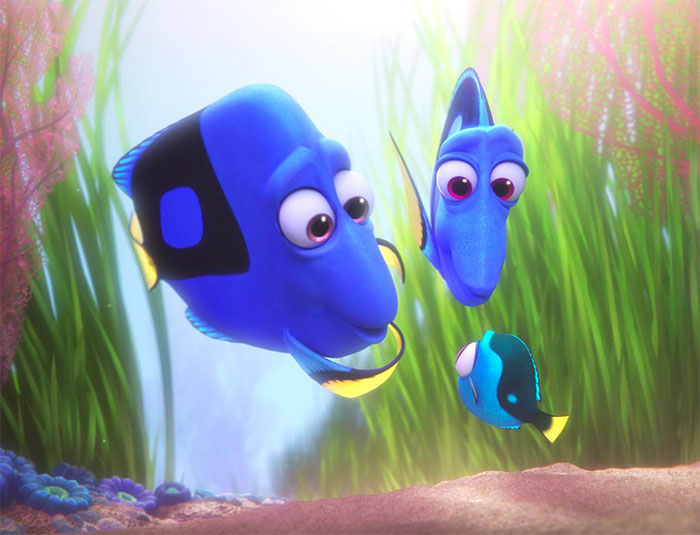 Baby Dory with family in movie Finding Dory