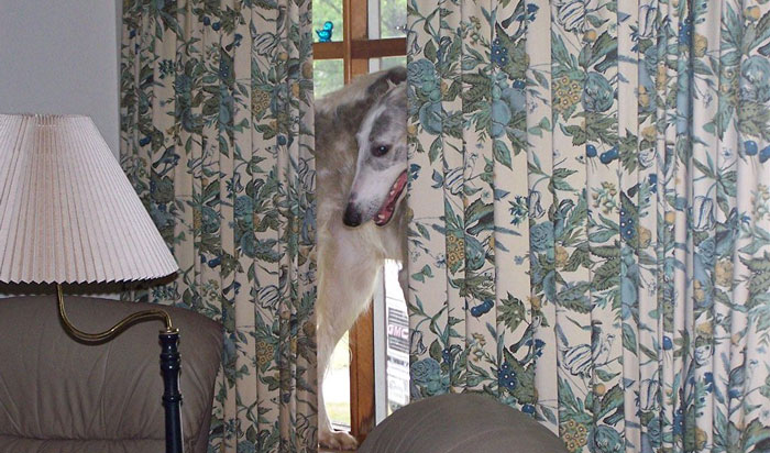 Woman Is Annoyed Her Neighbor Comes To Her Landing And Lurks, So She Swings Open The Door, Frightening Her And Causing Her To Fall