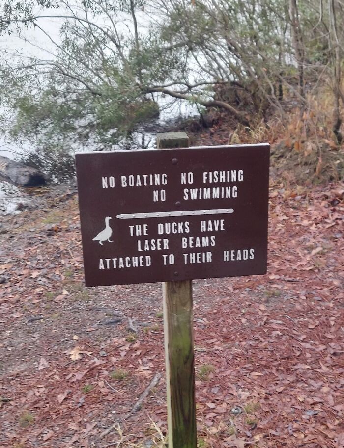 Funny-Absurd-Signs-Pics
