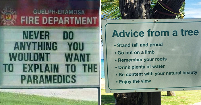 50 Funny Yet Helpful Pieces Of Advice That Might Become A Guiding Light For Any Tricky Situation