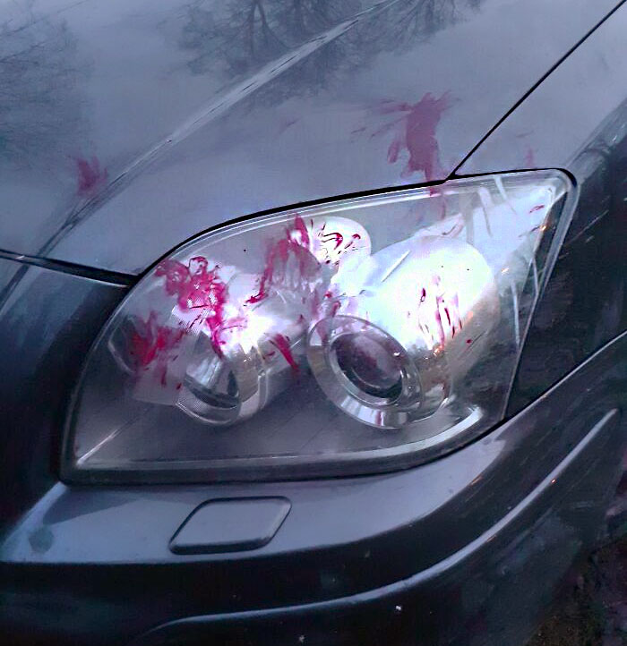 My 4-Year-Old Nephew Got Hold Of A Bottle Of Nail Polish And Now My Sister's Car Looks As If She's Hit Someone On The Road