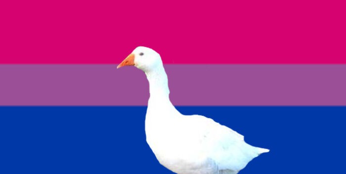 The Bi Goose And His Flag