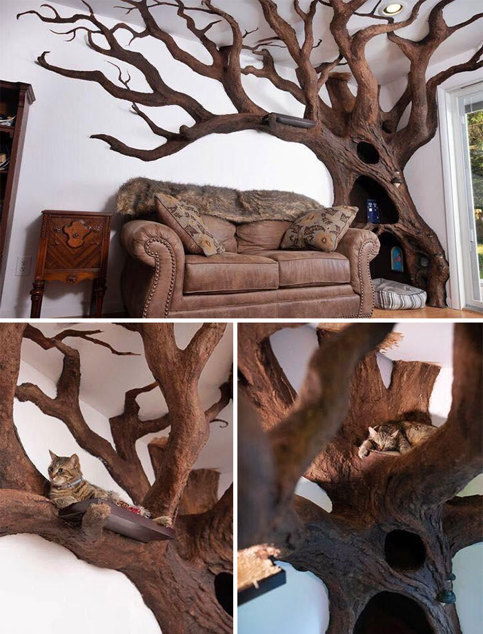 If You Like Trees... And Cats