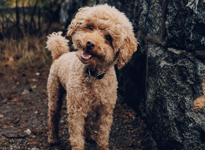 35 Times People Had To Go To Great Lengths To Keep Up The Lies They'd Told