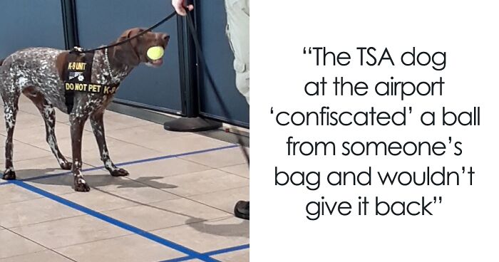 45 Hilarious Dog Posts To Put A Smile On Your Face (New Pics)