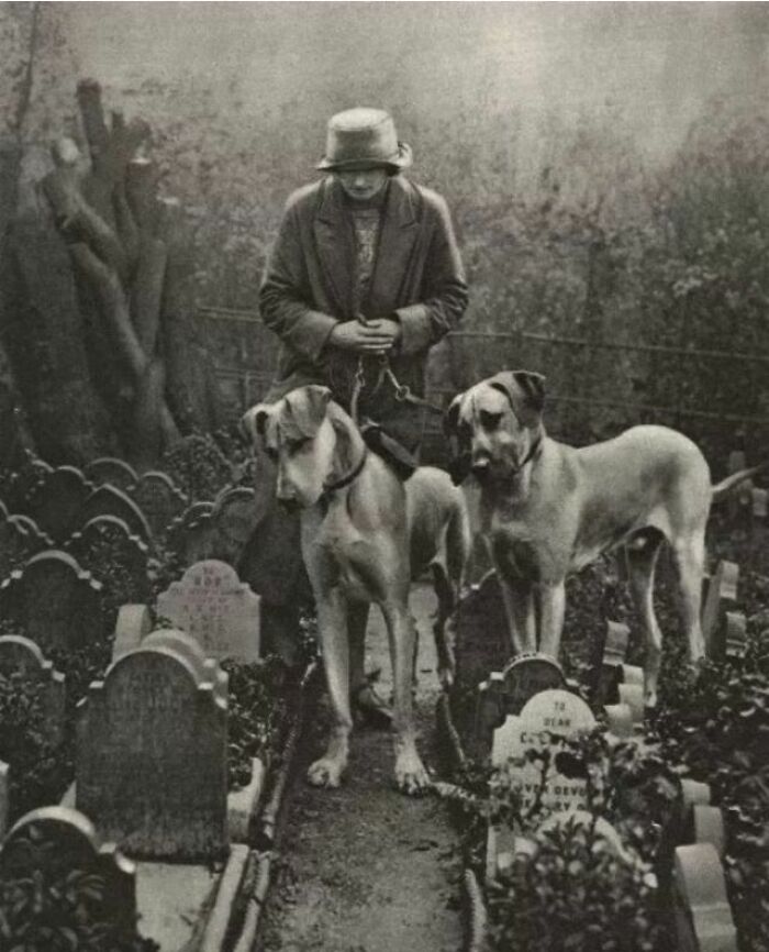 Walking Her Dogs In The Hyde Park Dog’s Cemetery: The Final Resting Place To 1000+ Victorian-Era Pets Hides Inside The City Park