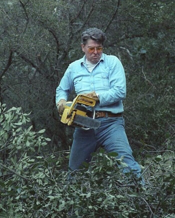 Ronald Reagan. Chainsaw. America