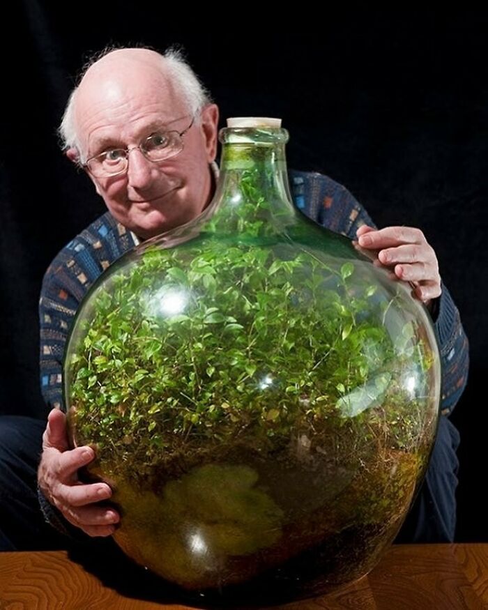 En 1960, David Latimer plantó un jardín dentro de una botella de cristal gigante y la cerró. Latimer solo abrió la botella una vez en 1972 para añadir un poco de agua. El ecosistema autónomo ha florecido durante 60 años