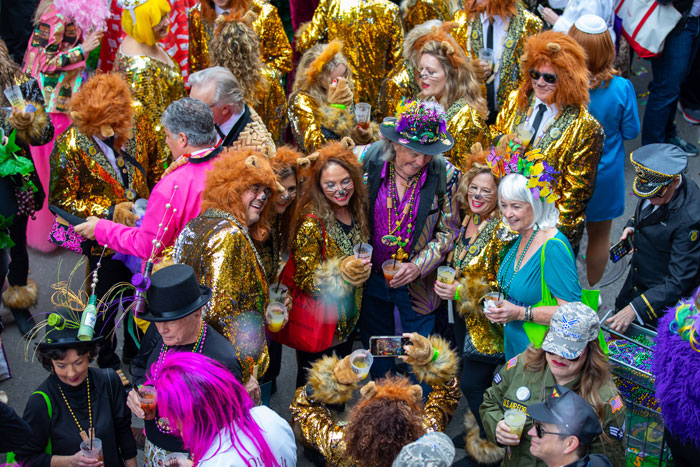 Crowd of people dressed in colorful costumes celebrating Mardi Gras