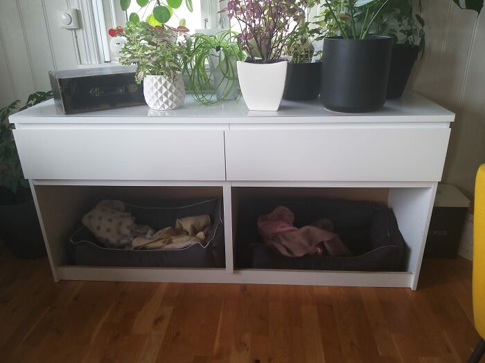 IKEA Malm Chest Of Drawers, Bought Used, Removed 4 Drawers So The Dogs Each Got Their Own Sleeping Space In The Living Room