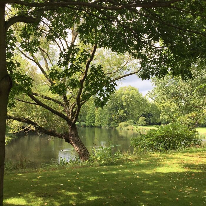 Buckingham Palace Gardens