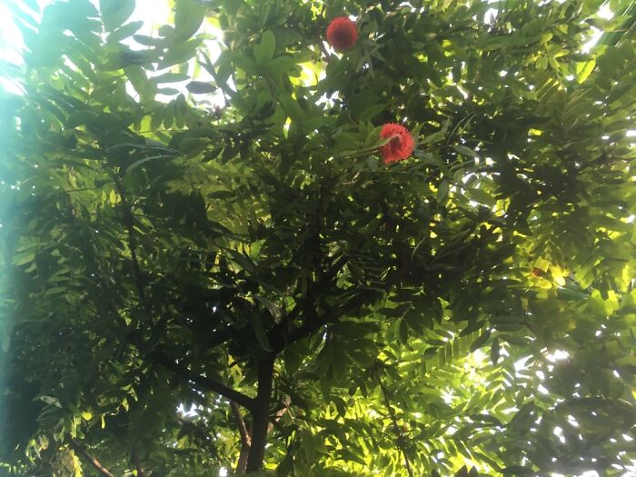 Orchid Festival At Kew Gardens, 2023 (15 Pics)