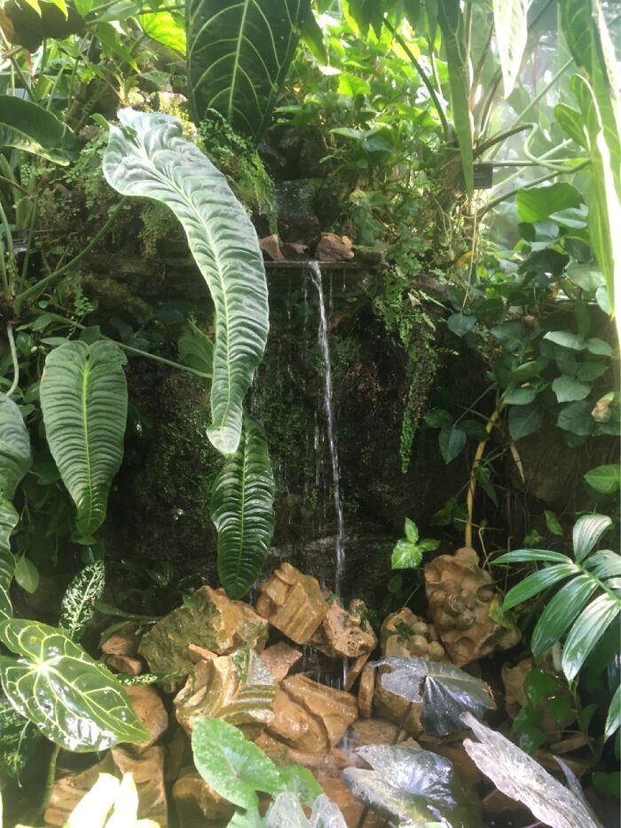 Orchid Festival At Kew Gardens, 2023 (15 Pics)