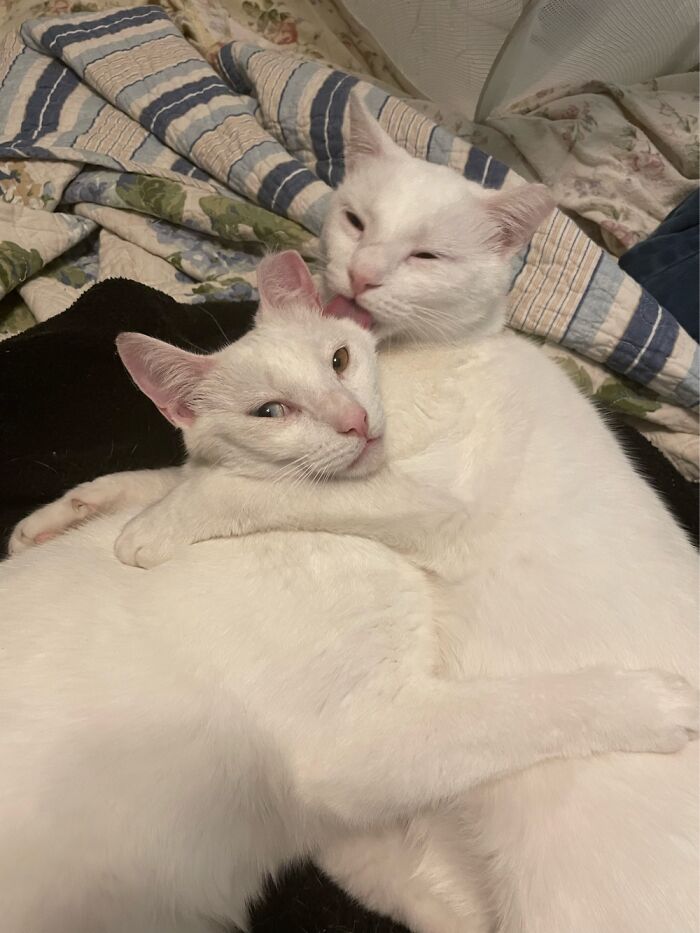 Winnie Giving Her Brother Chris A Hug & Kiss For Valentines Day!