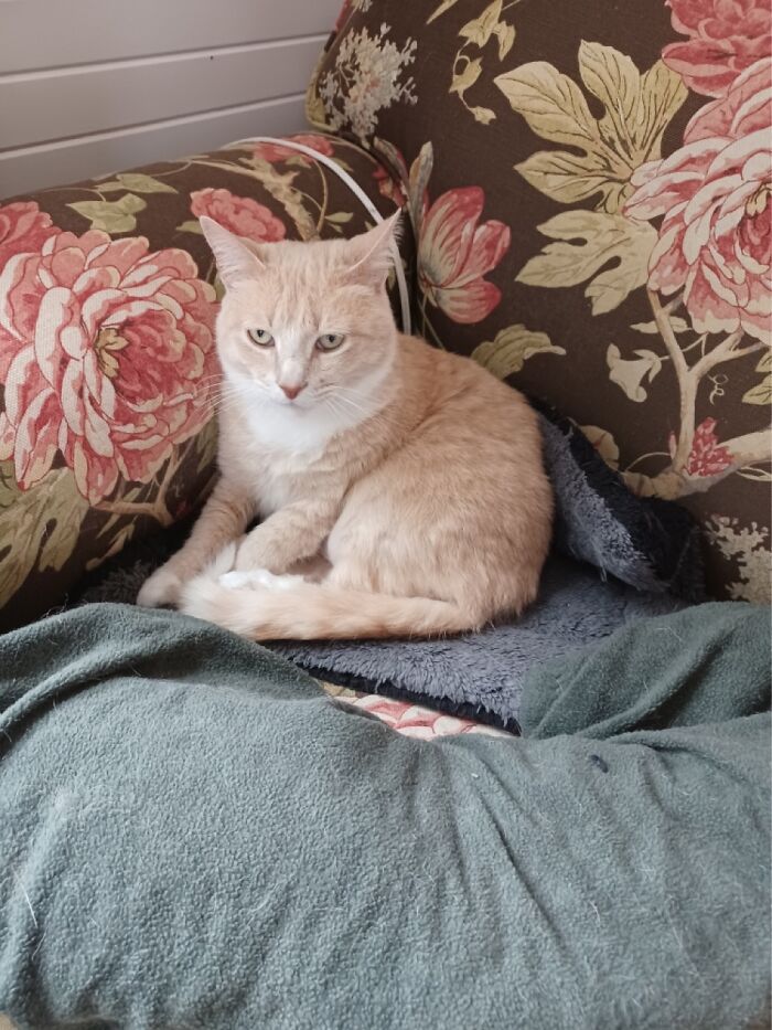 Buttercup Now Happy Member Of Our Little Family!