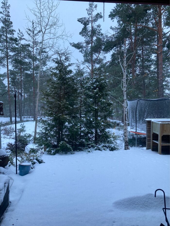 Stockholm, Sweden (The Forest Is Our Backyard) -6 And More Snow!