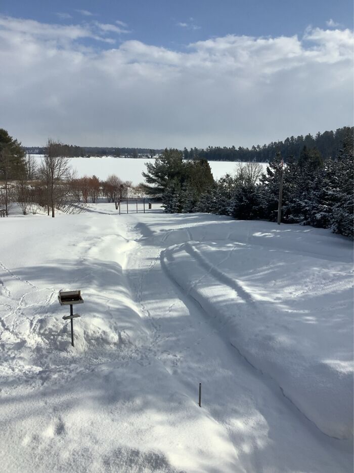 0 Celsius, 5cm Fresh Snow, Ottawa Valley, Canada