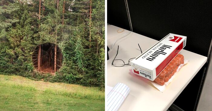 This Facebook Page Shares Random Pics That Are Hard To Explain, Here Are 50 Of The Funniest Ones